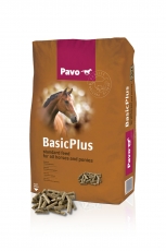 Pavo BasicPlus - Dé basisbrok voor alle paarden en pony's