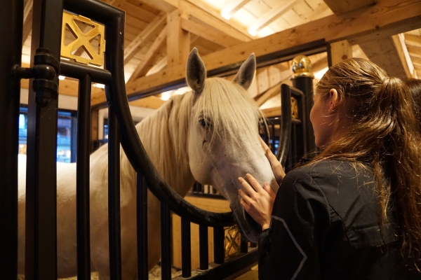 Paardensnoepjes-hoe-gezond-zijn-ze